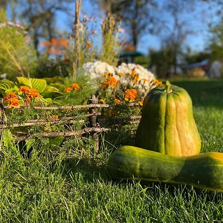 Kuca Za Odmor - Miris Lipe Barjaktarevići