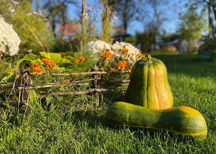 Kuca Za Odmor - Miris Lipe Barjaktarevići